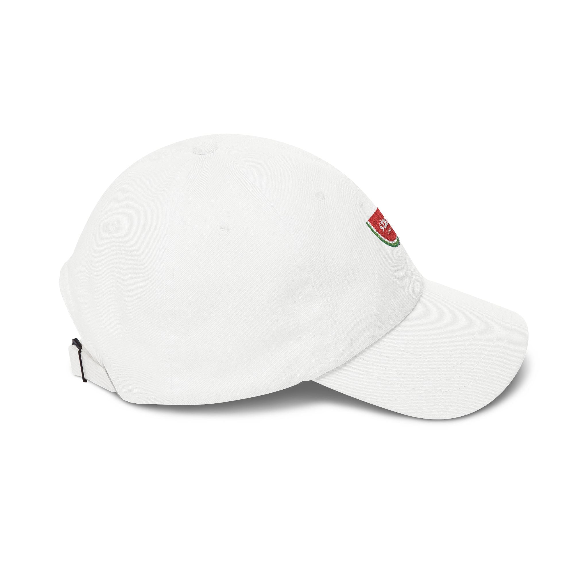 Watermelon Dad Cap – stand