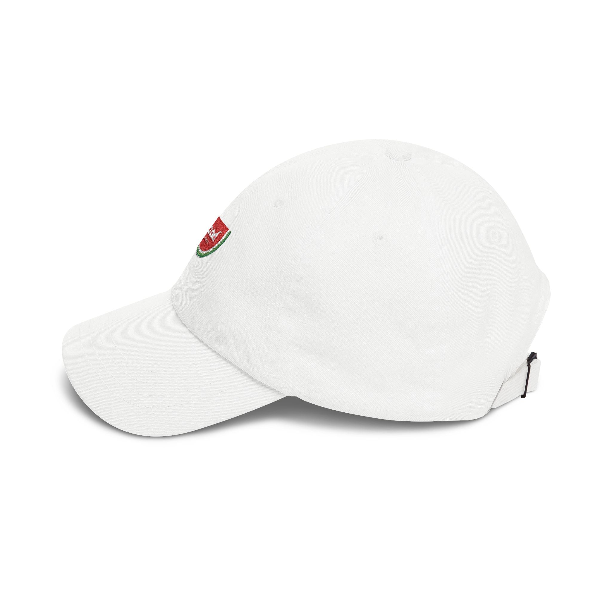Watermelon Dad Cap – stand